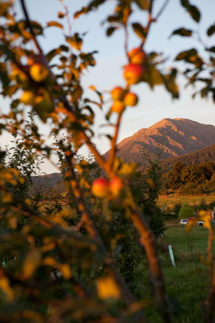 South Island Images